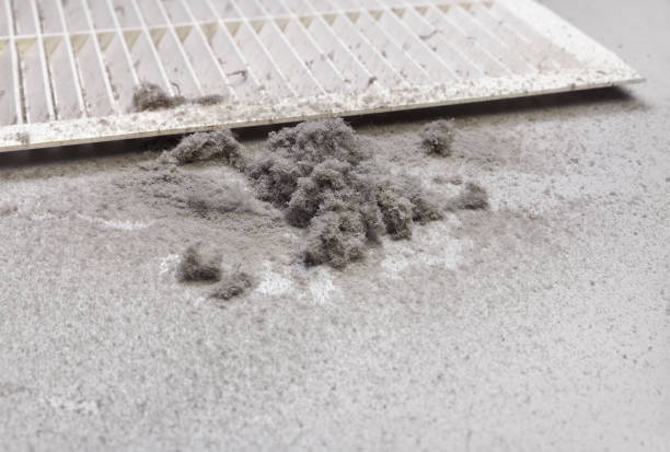Best HVAC Maintenance and Cleaning  in Harvey, LA